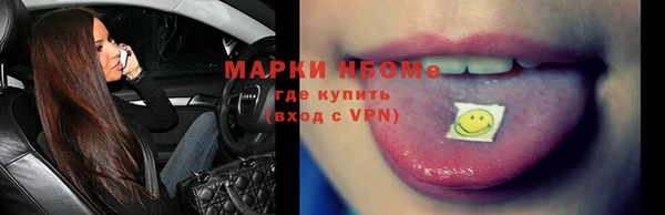 хмурый Алексин