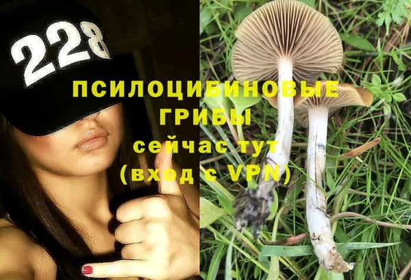 герыч Алексеевка