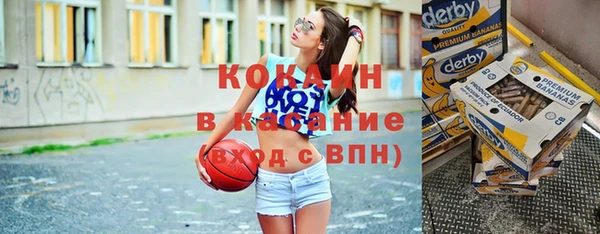 хмурый Алексин