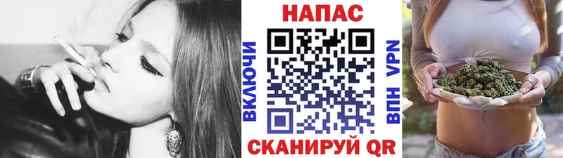 Каннабис план  KRAKEN как войти  Светлоград 